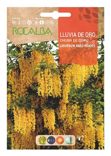 SEMILLA LLUVIA DE ORO ROCALBA 1 GR