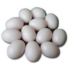 [AG010] HUEVO PLASTICO DE GALLINA