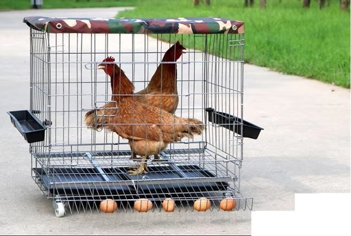 [AG043] JAULA PARA GALLINA DE POSTURA 70 * 50 * 64 CMS