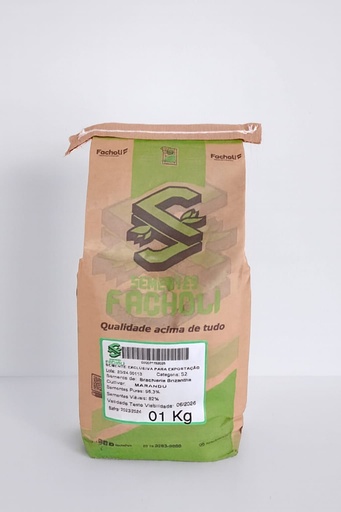SEMILLA DE PASTO FACHOLI BRIZANTHA x 1 KG