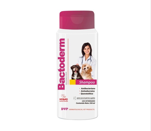[2243] SHAMPOO BACTODERM x 350 ML 