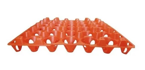 BANDEJA PLASTICA FILLER PARA 30 HUEVOS