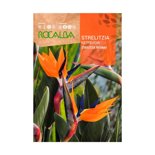 SEMILLA AVE DEL PARAISO ROCALBA