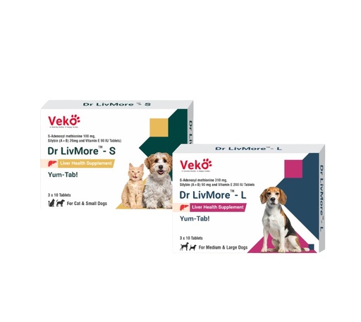 HEPATO PROTECTOR DR LIVE MORE x 30 TABS 
