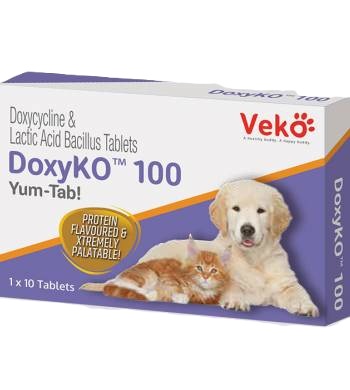 DOXYCO DOXICICLINA 100 MG