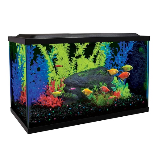 [33179] ACUARIO GLOFISH AQUARIUM KIT x 10 GALONES