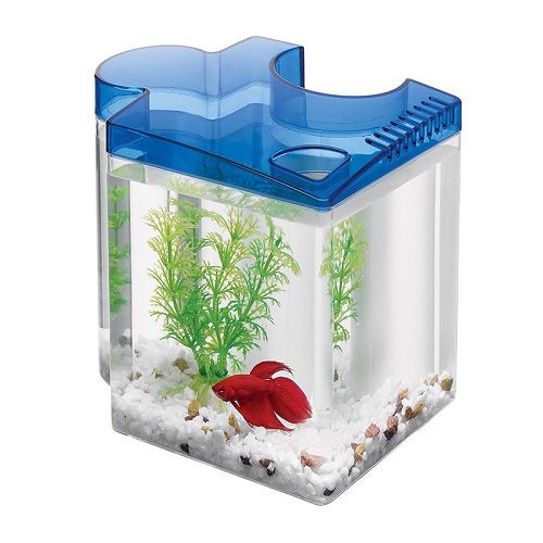 ACUARIO PARA BETTA PUZZLE 0.5 GALONES