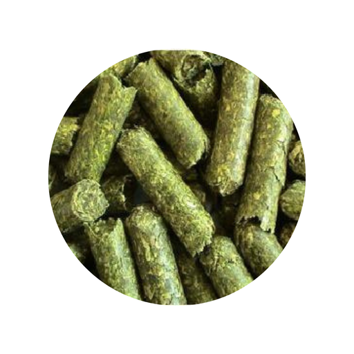 ALFALFA PELETIZADA SM SACO 64 LBS