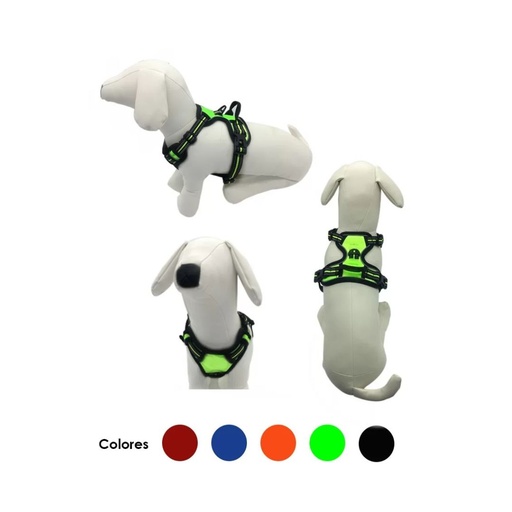 ARNES PARA PERRO DISEÑO NEON