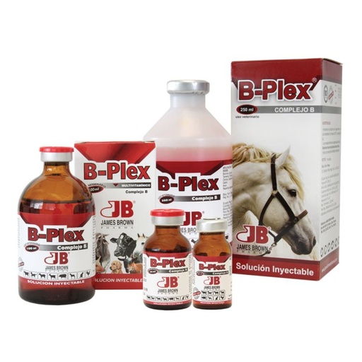 B-PLEX SOLUCION ANTIANEMICA INYECTABLE