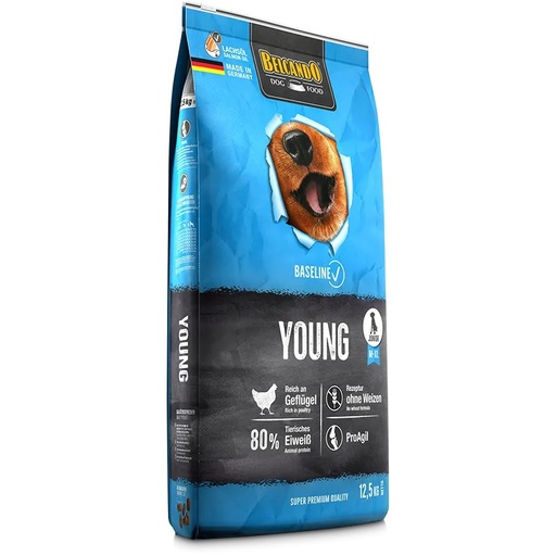 CONCENTRADO PARA PERRO BELCANDO BASELINE YOUNG