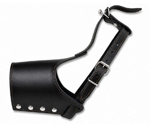 BOZAL DE CUERINA LUX KINGS
