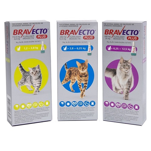 PIPETA ANTIPULGAS BRAVECTO PLUS PARA GATO 