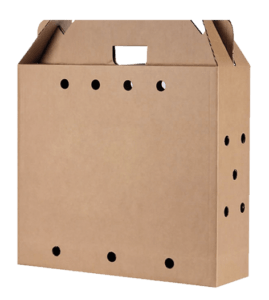 CAJA PARA GALLO ECONOMICA