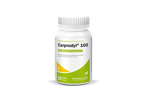 CARPRODYL 100 MG 1 TABLETA