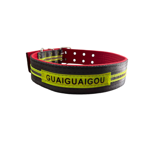 COLLAR PARA PERRO GUARDIGUAGOU