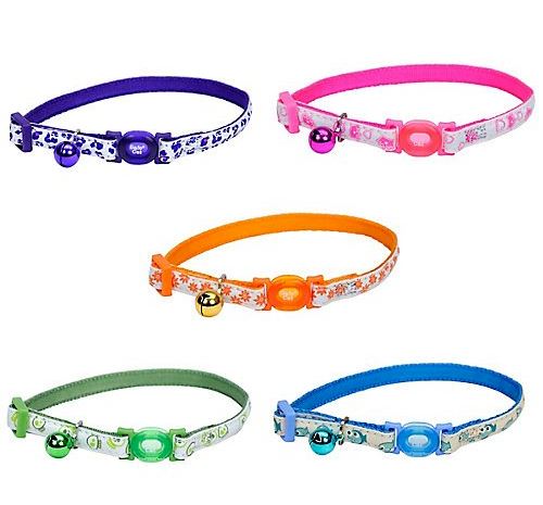 [6781] COLLAR SAFE CAT VARIOS COLORES