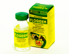 FLOGIDEM 10 ML GALMEDIC