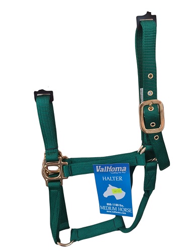 [8-11 B GN] GAMARRON VALHOMA B PARA MEDIANO VERDE