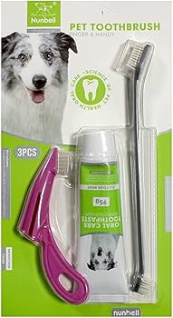 [2020057] KIT DE CEPILLO Y PASTA DENTAL PARA PERROS NUNBELL